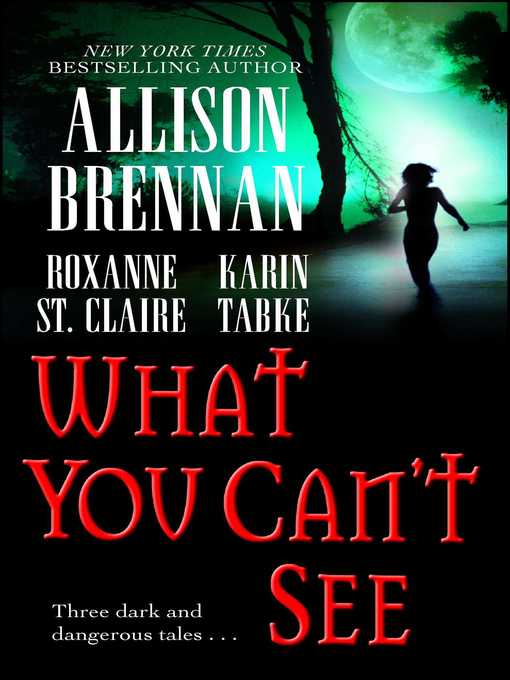 Title details for What You Can't See by Allison Brennan - Wait list